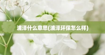 浦泽什么意思(浦泽环保怎么样)