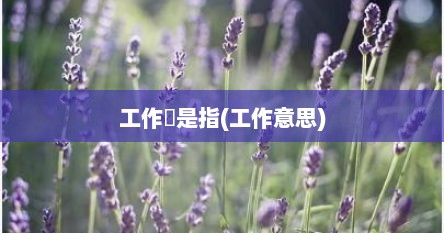 工作簙是指(工作意思)
