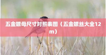 五金螺母尺寸对照表图（五金螺丝大全12m）