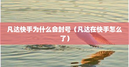 凡达快手为什么会封号（凡达在快手怎么了）