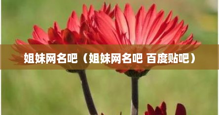 姐妹网名吧（姐妹网名吧 百度贴吧）