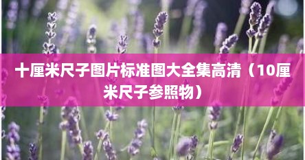 十厘米尺子图片标准图大全集高清（10厘米尺子参照物）