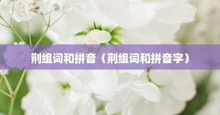 荆组词语读音（荆字的组词和拼音怎么写）