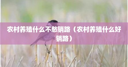 农村养殖什么不愁销路（农村养殖什么好销路）