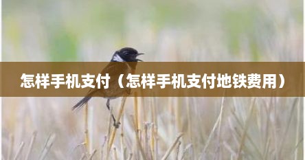 怎样手机支付（怎样手机支付地铁费用）