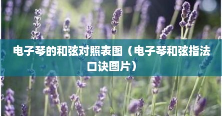 电子琴的和弦对照表图（电子琴和弦指法口诀图片）