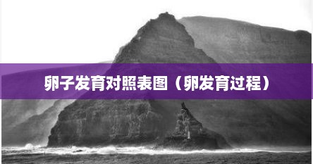 卵子发育对照表图（卵发育过程）