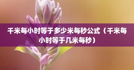千米每小时等于多少米每秒公式(千米每小时等于几米每秒)
