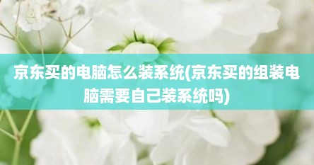 京东买的电脑怎么装系统(京东买的组装电脑需要自己装系统吗)