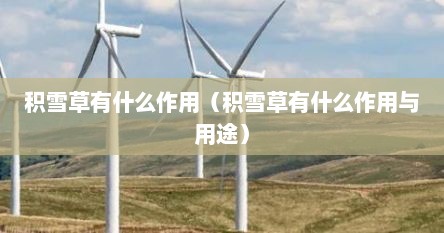 积雪草有什么作用（积雪草有什么作用与用途）