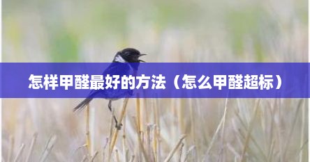 怎样甲醛最好的方法（怎么甲醛超标）