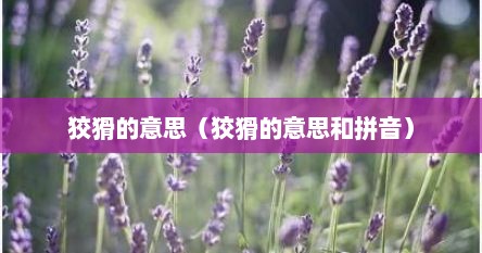 狡猾的意思（狡猾的意思和拼音）