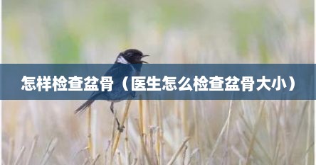 怎样检查盆骨（医生怎么检查盆骨大小）
