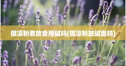 做凉粉要放食用碱吗(做凉粉放碱面吗)