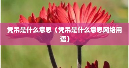 凭吊是什么意思（凭吊是什么意思网络用语）