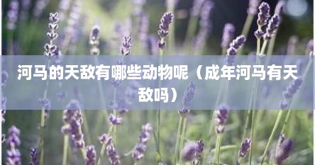 河马没有天敌数量是不是很大（河马有没有）