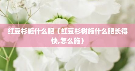 红豆杉施什么肥（红豆杉树施什么肥长得快,怎么施）