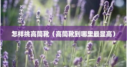 怎样挑高筒靴（高筒靴到哪里最显高）
