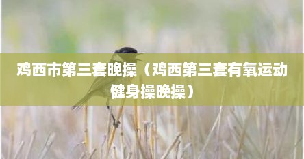 鸡西市第三套晚操（鸡西第三套有氧运动健身操晚操）
