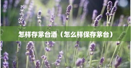 怎样存茅台酒（怎么样保存茅台）