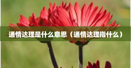 通情达理是什么意思（通情达理指什么）