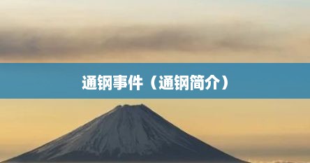 通钢事件（通钢简介）