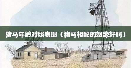 猪马年龄对照表图（猪马相配的姻缘好吗）