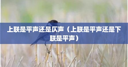 上联是平声述是仄声（上联是平声述是下联是平声）