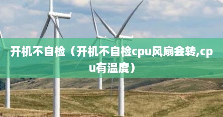 开机不自检（开机不自检cpu风扇会转,cpu有温度）