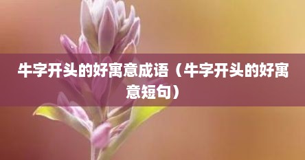 牛字开头的好寓意成语（牛字开头的好寓意短句）