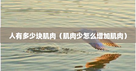 人有多少块肌肉（肌肉少怎么增加肌肉）