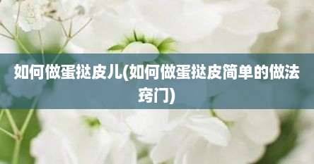 如何做蛋挞皮儿(如何做蛋挞皮简单的做法窍门)