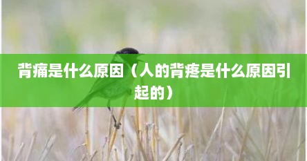 背痛是什么原因（人的背疼是什么原因引起的）