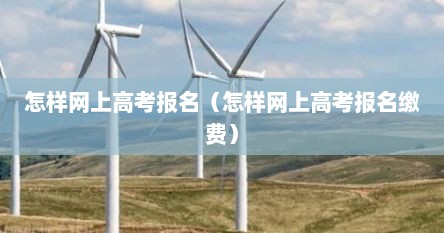 怎样网上高考报名（怎样网上高考报名缴费）