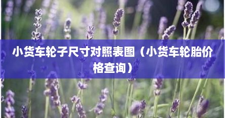 小货车轮子尺寸对照表图（小货车轮胎价格查询）