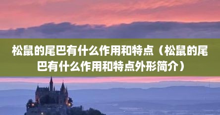 松鼠的尾巴有什么作用和特点（松鼠的尾巴有什么作用和特点外形简介）