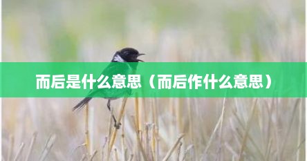 而后是什么意思（而后作什么意思）