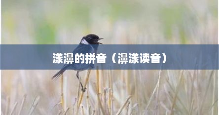 漾濞的拼音（濞漾读音）