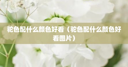 驼色配什么颜色好看（驼色配什么颜色好看图片）