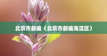北京市邮编（北京市邮编海淀区）