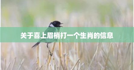 关于喜上眉梢打一个生肖的信息