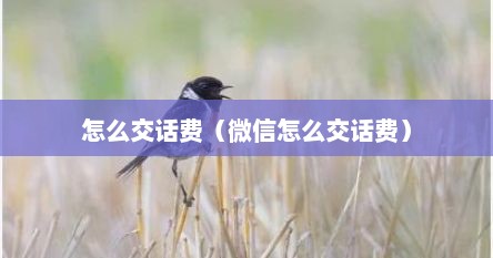 怎么交话费（微信怎么交话费）