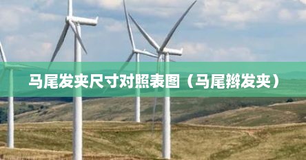 马尾发夹尺寸对照表图（马尾辫发夹）