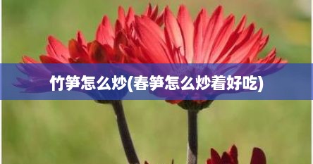 竹笋怎么炒(春笋怎么炒着好吃)