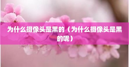 为什么摄像头是黑的（为什么摄像头是黑的呢）