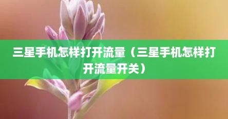 三星手机怎样打开流量（三星手机怎样打开流量开关）