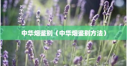 中华烟鉴别（中华烟鉴别方法）