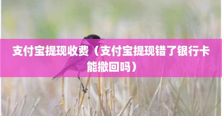 支付宝提现收费（支付宝提现错了银行卡能撤回吗）