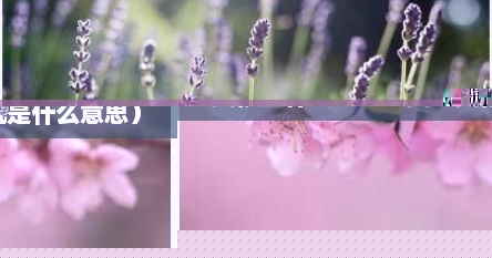 契机是什么意思（契理契机是什么意思）