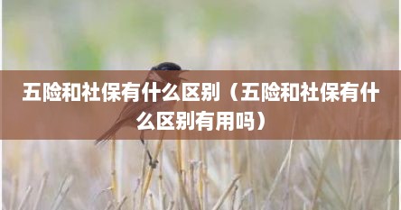 五险和社保有什么区别（五险和社保有什么区别有用吗）